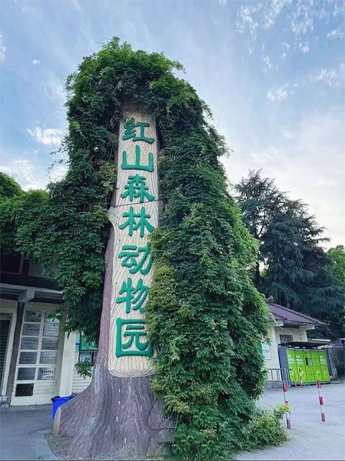 红山森林动物园推广