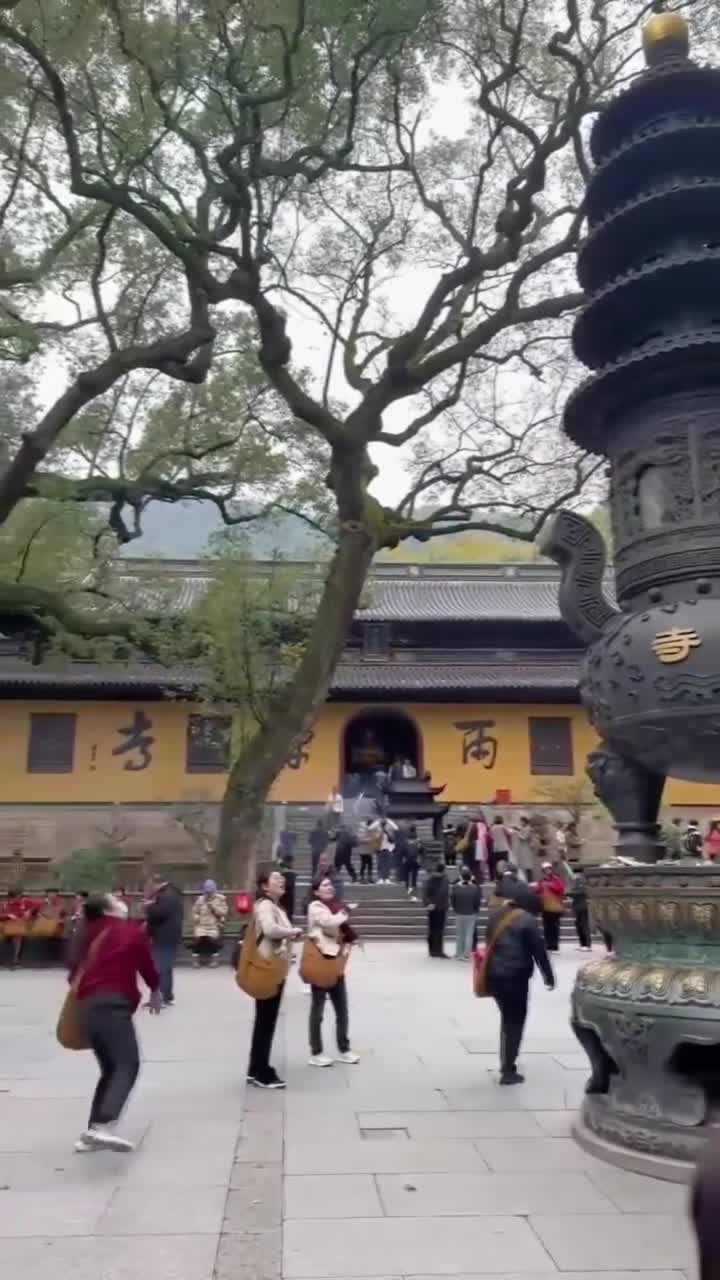 眼见耳闻心内事，循声救苦刹那间#舟山市普陀山