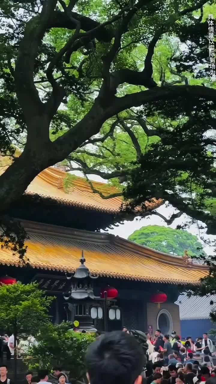 舟山普陀山，海风拂面，心旷神怡。顶礼观音菩萨，让心灵得到一次净化与升华。#舟山市普陀山