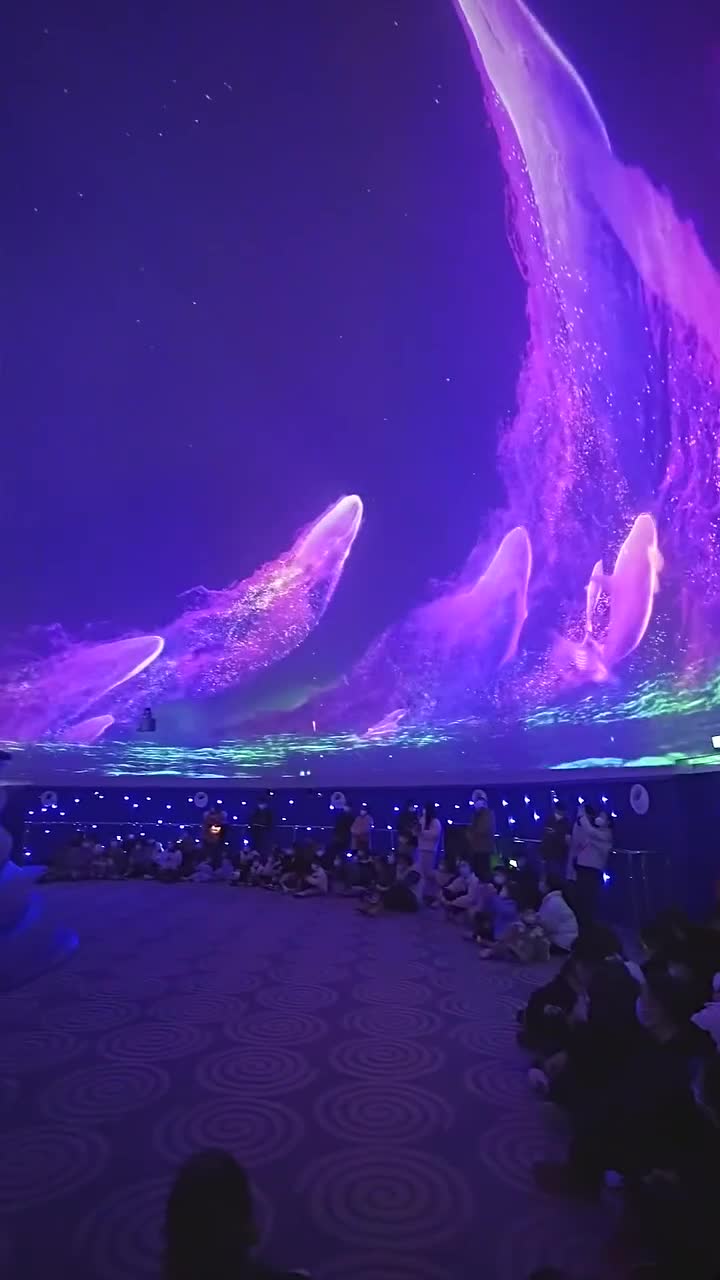 上海海昌海洋公园真的好玩，下次还来#上海海昌海洋公园