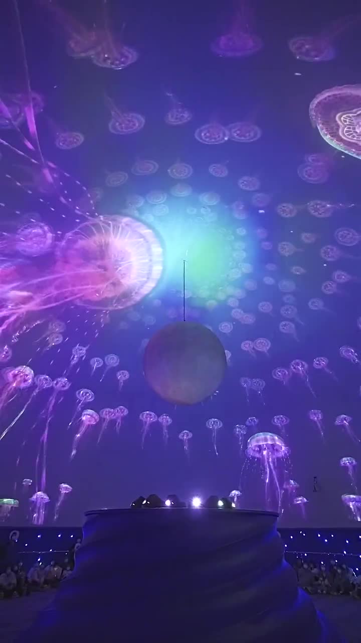 新年还不知道去哪里玩就来上海海昌海洋公园吧#上海海昌海洋公园