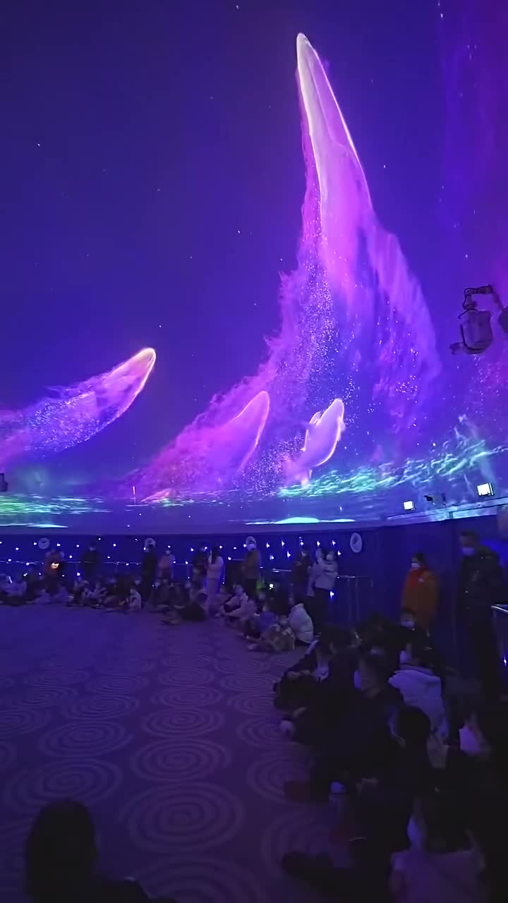 新年还不知道去哪里玩就来上海海昌海洋公园吧#上海海昌海洋公园