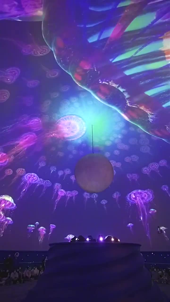 上海海昌海洋公园，梦幻海洋世界等你来#上海海昌海洋公园