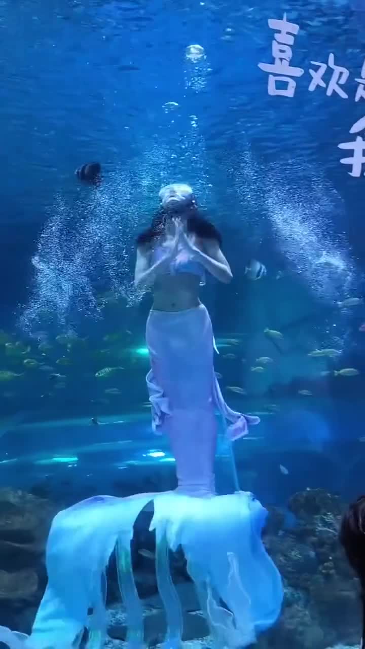 这样的表演太治愈了！家人们一定要去海昌看这个白鲸之恋#上海海昌海洋公园
