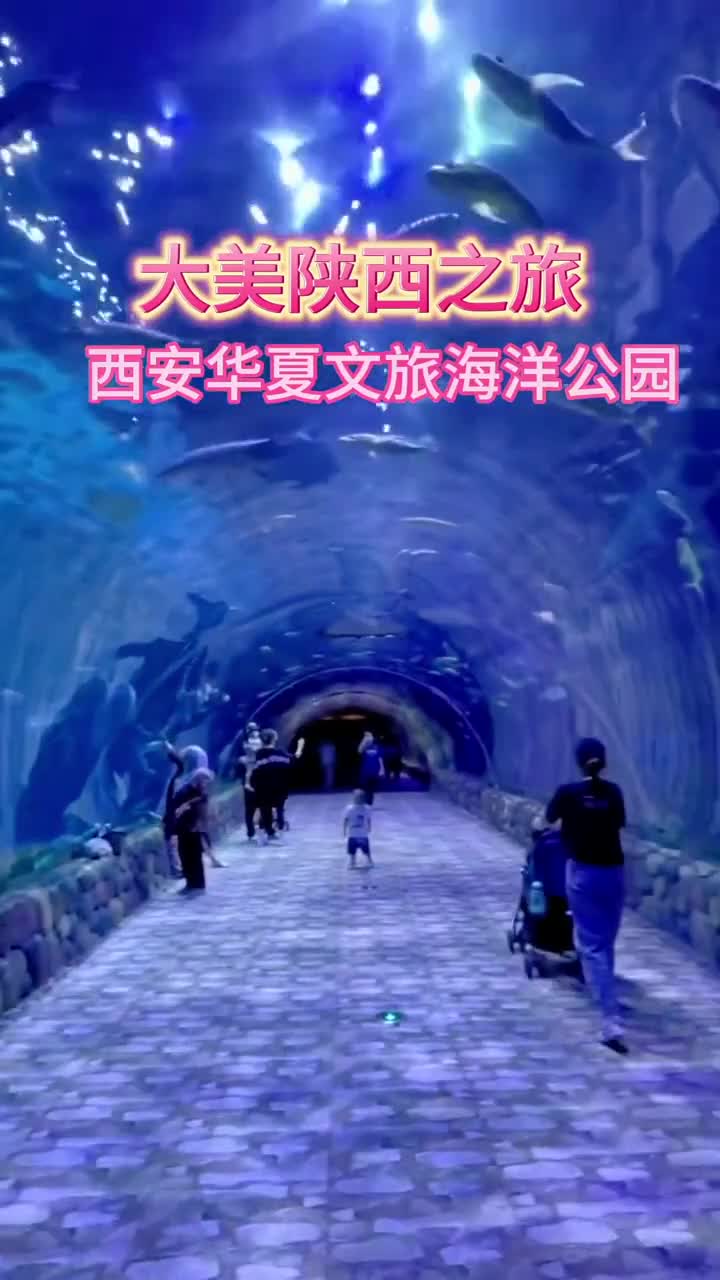 总要去一趟华夏文旅西安度假区吧 去海底隧道走一趟，赏一场西安最辉煌历史时期的文化传奇#华夏文旅西安度假区