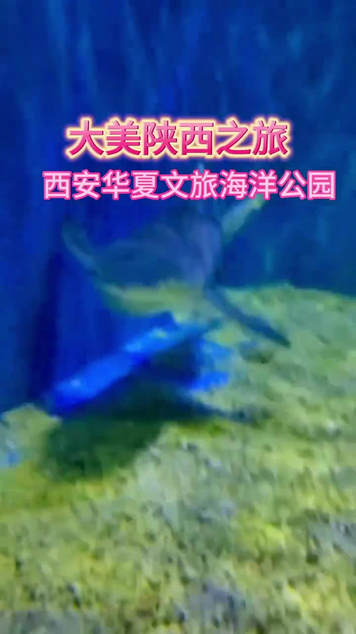 周末去哪玩？西安这个海洋主题游乐场，让娃玩到不想回家！#华夏文旅西安度假区