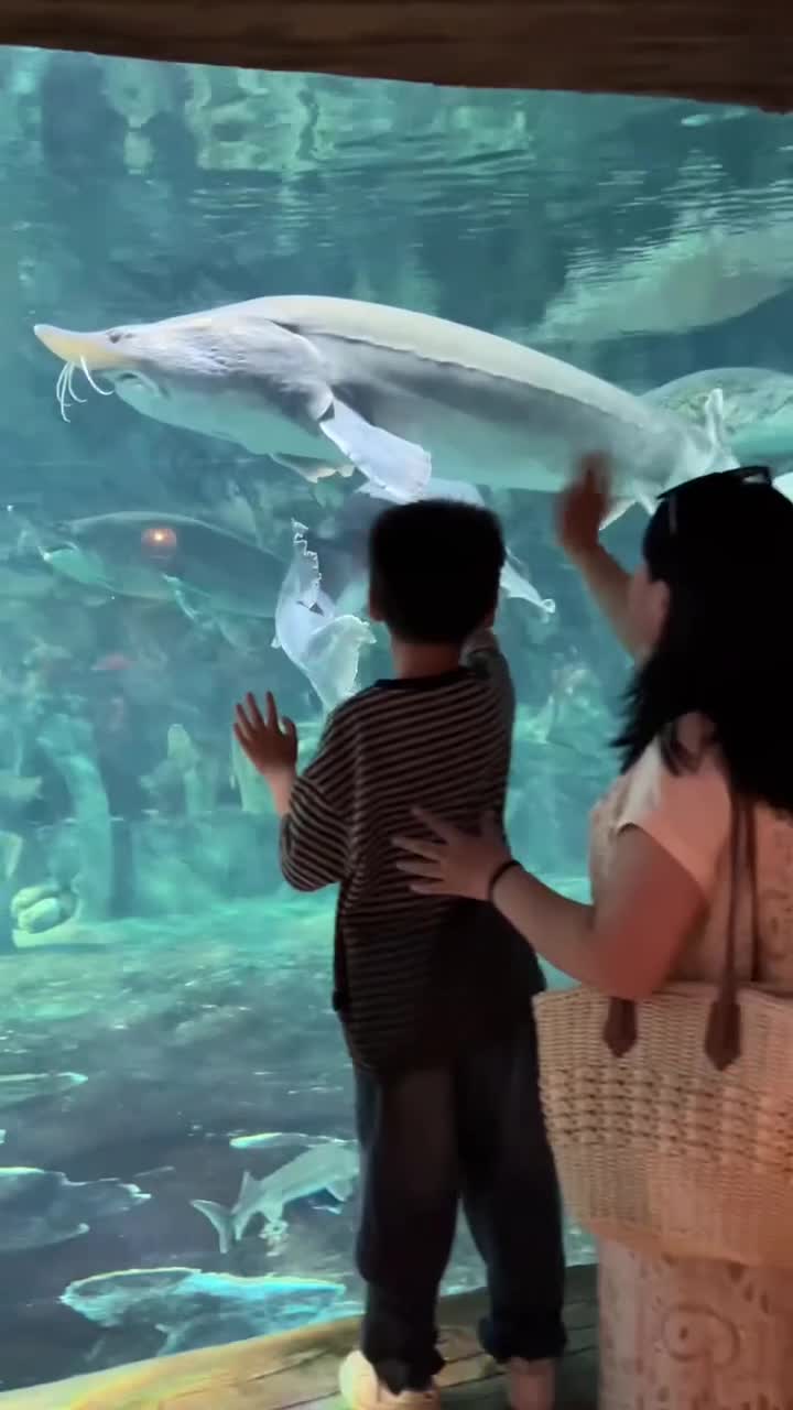 海洋与乐园的梦幻联动！西安华夏文旅度假区，孩子尖叫家长轻松~#华夏文旅西安度假区