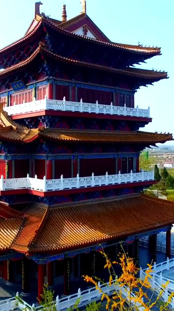 郁金香的花海 感叹四季的轮回，造物主的神奇#郑州园博园#自联盟