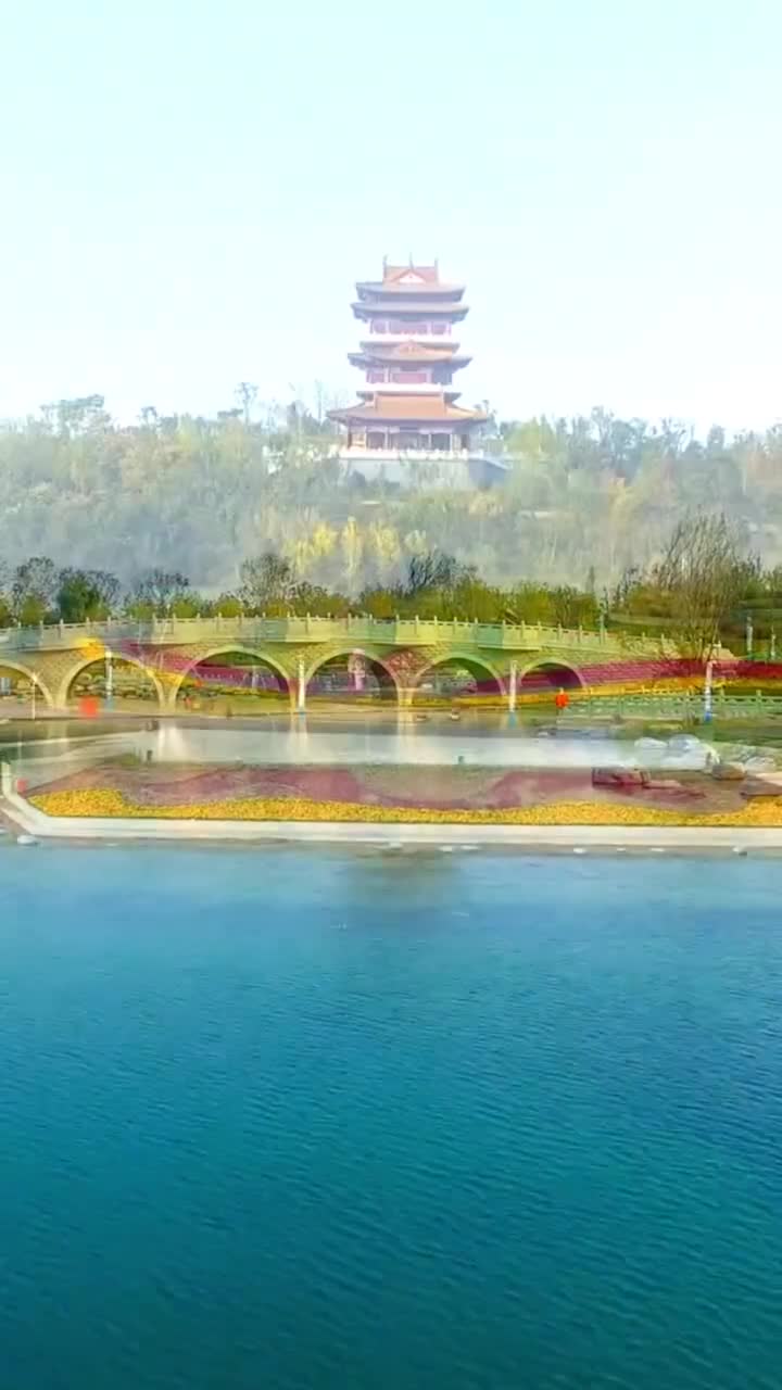 郁金香的花海 感叹四季的轮回，造物主的神奇#郑州园博园#自联盟