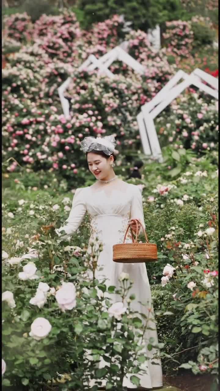 石竹花从纷乱的杂草中探出头，它们粉红色的笑脸真好看！#漫花庄园#自联盟 