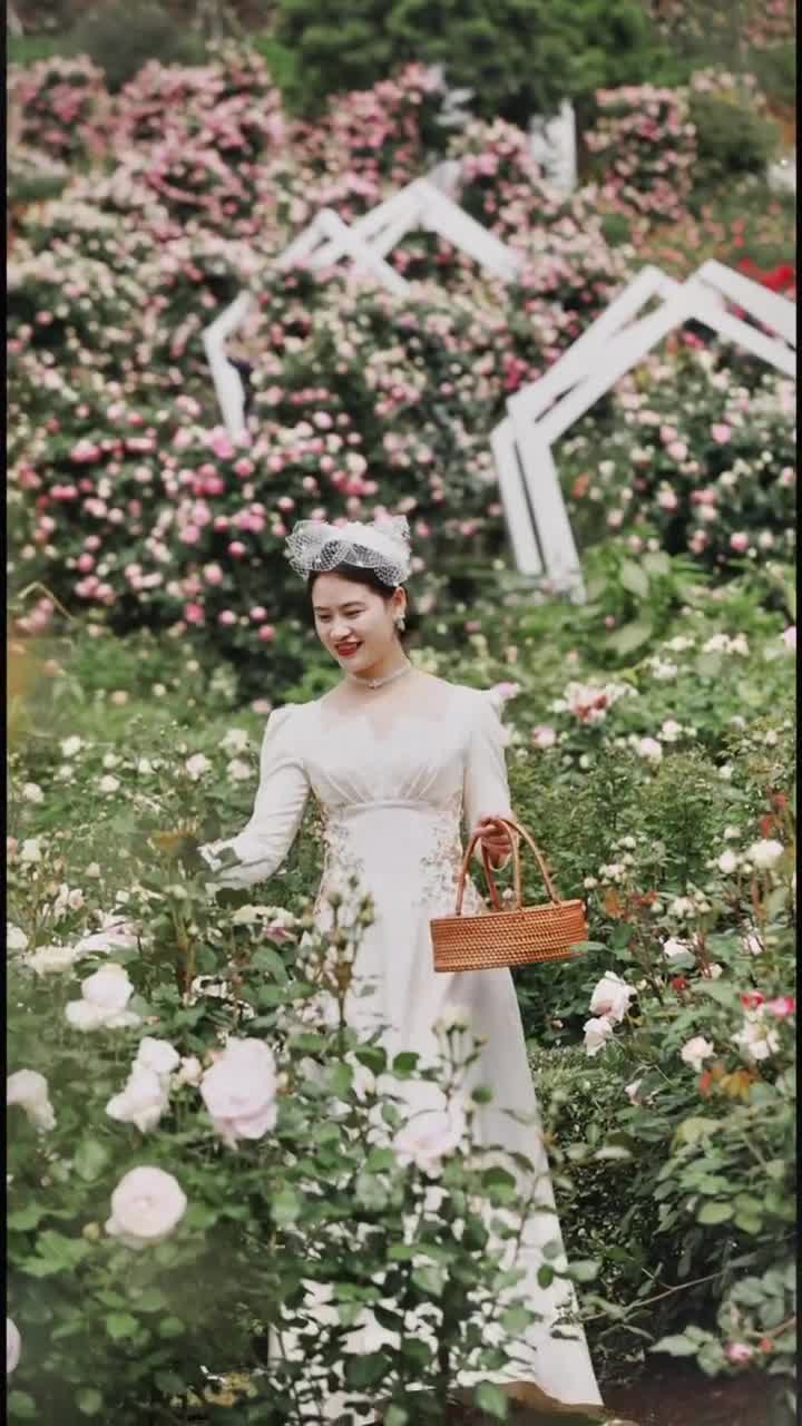 漫花庄园,一个如梦如幻的花海仙境。.漫花庄园不仅是花的世界,更是心灵的栖息地...#漫花庄园#自联盟 