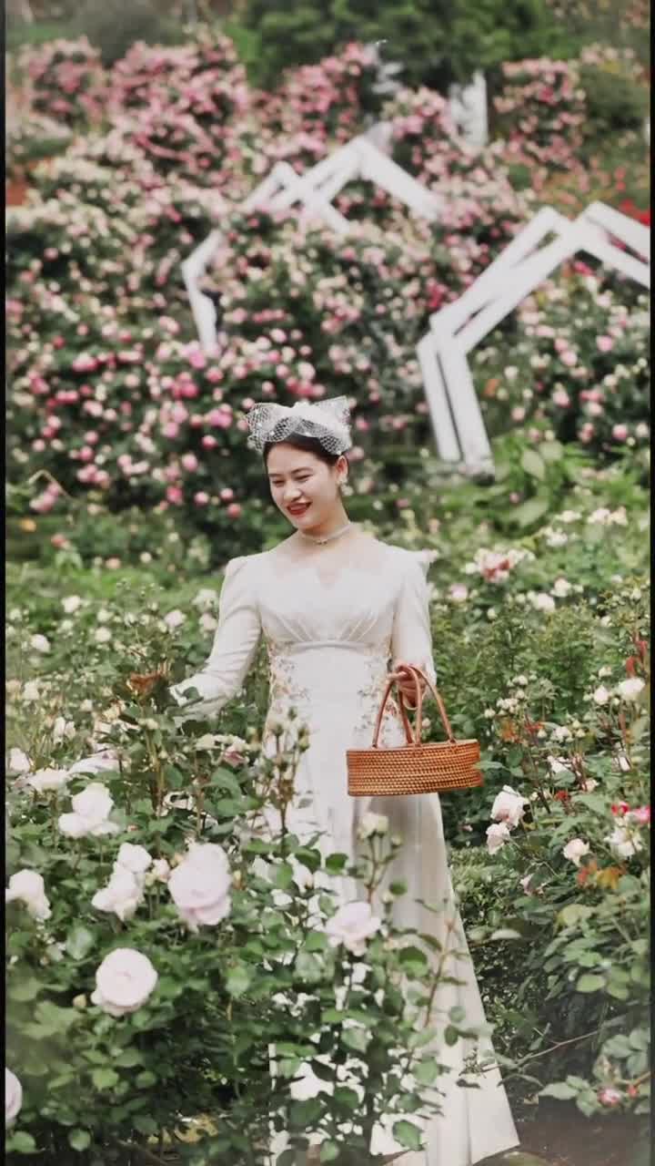 漫花庄园,一个如梦如幻的花海仙境。.漫花庄园不仅是花的世界,更是心灵的栖息地...#漫花庄园#自联盟 