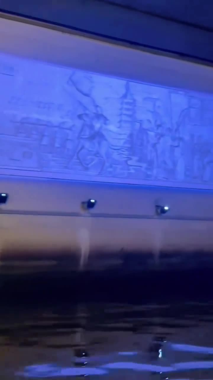 运河，栩栩如生，犹如千万条张牙舞爪的黄磷巨龙，一路挟雷裹电，咆哮而来。#苏州古运河#自联盟
