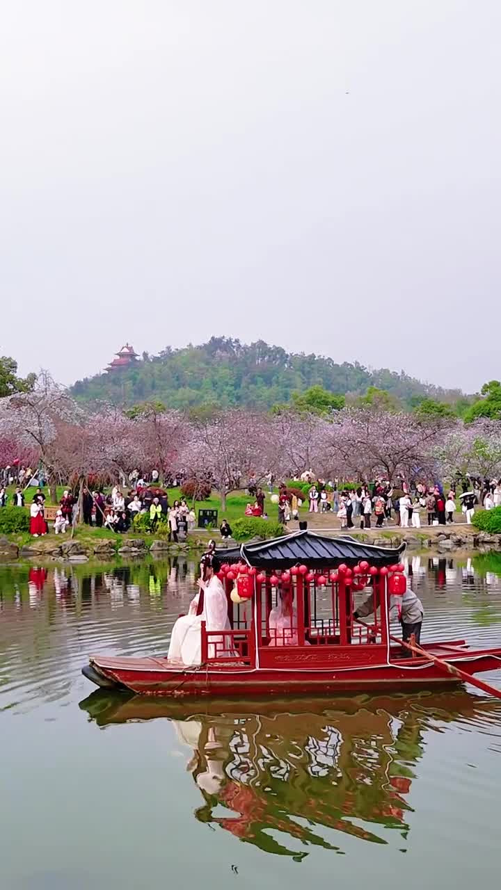 武汉不仅有樱花！来武汉不登黄鹤楼非好汉！#武汉市黄鹤楼公园#自联盟