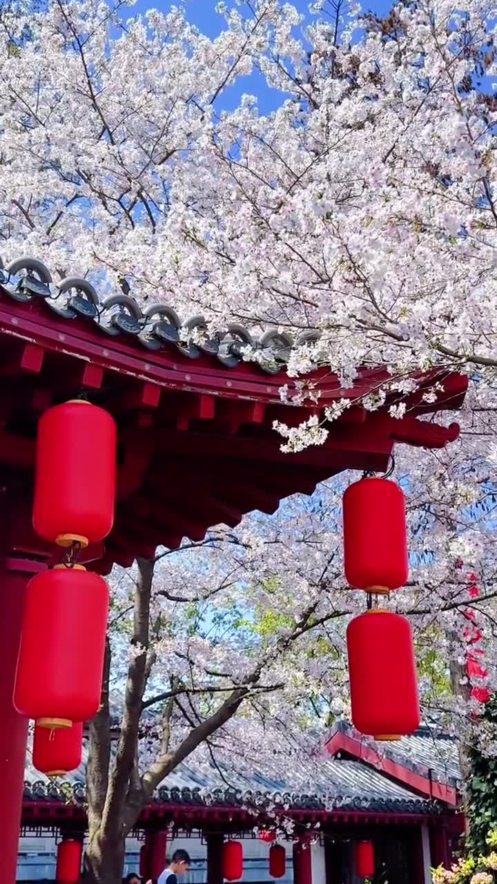 仙气飘飘的黄鹤楼……黄鹤一去不复返，白云千载空悠悠#武汉市黄鹤楼公园#自联盟