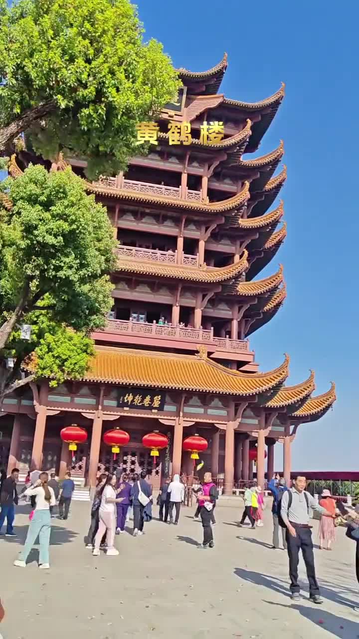 花已经开好啦，公主们赶紧来打卡呀，不然错过花期又要等明年咯#武汉市黄鹤楼公园#自联盟