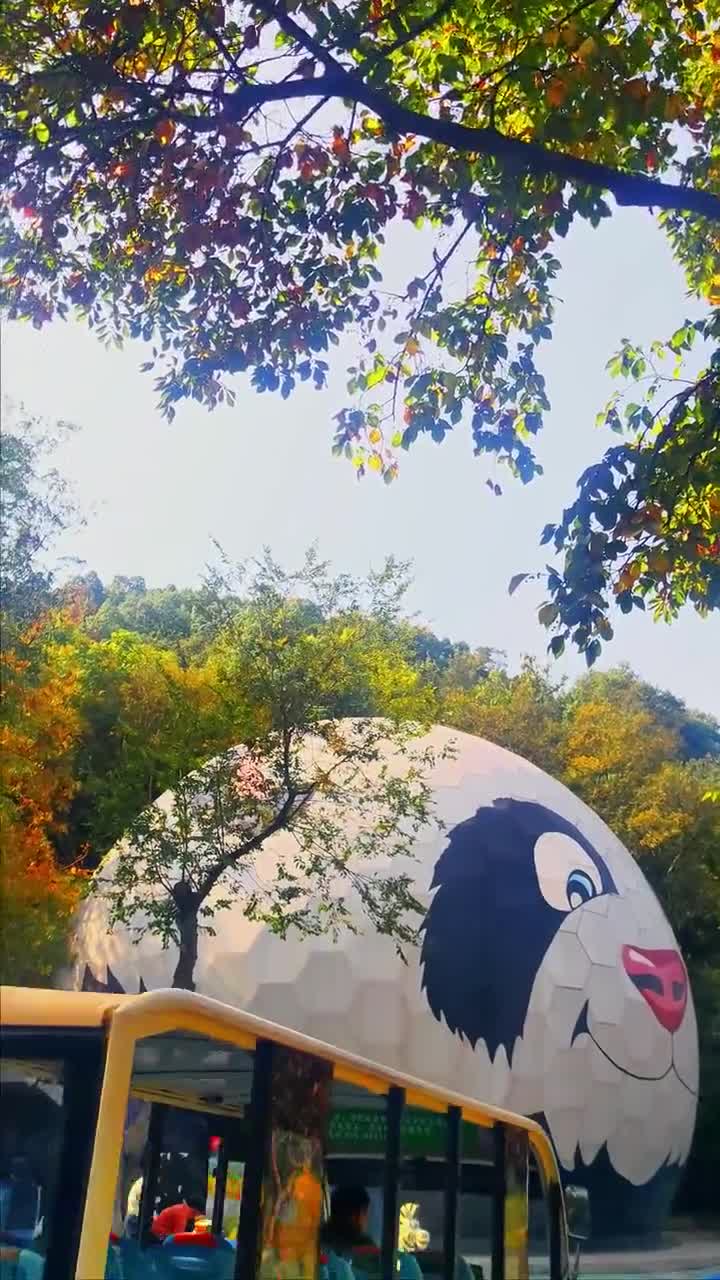 红山森林动物园 动物园里有什么#南京市红山森林动物园#自联盟