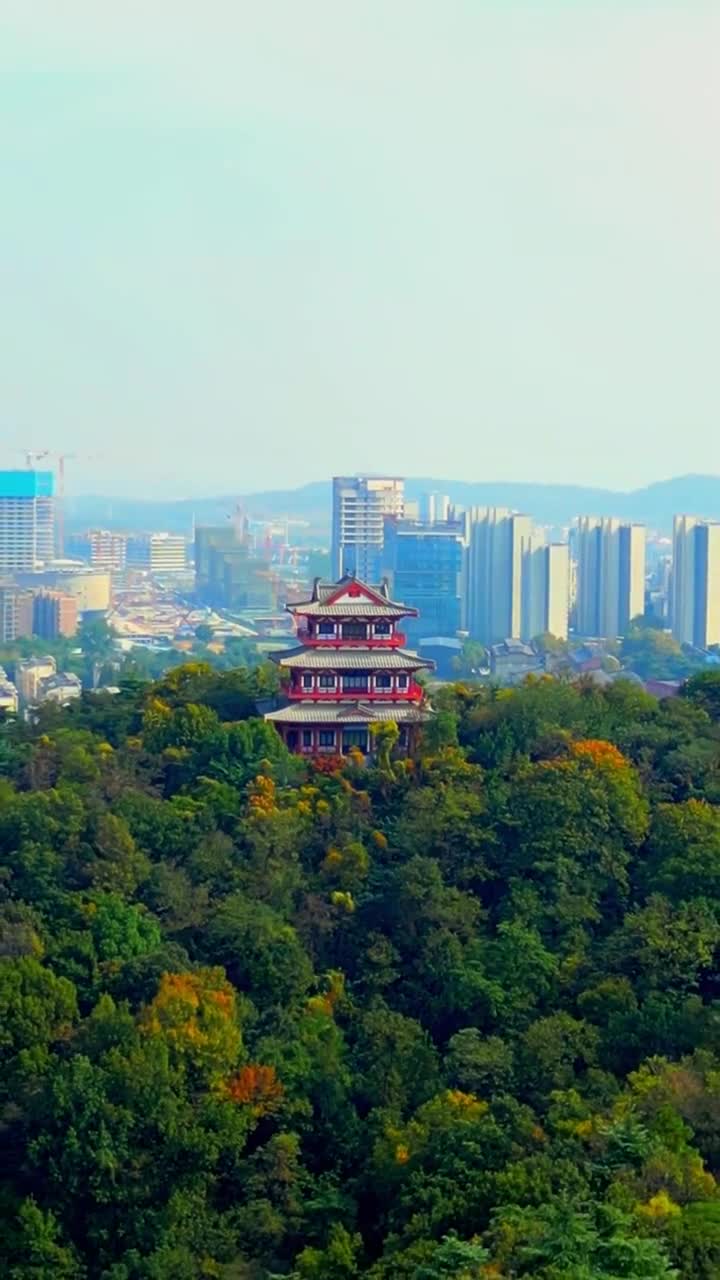 拒绝动物表演的红山动物园，可是架不住动物们要自己表演啊，天气转晴出太阳啦，太适合去看他们了#南京市红山森林动物园#自联盟