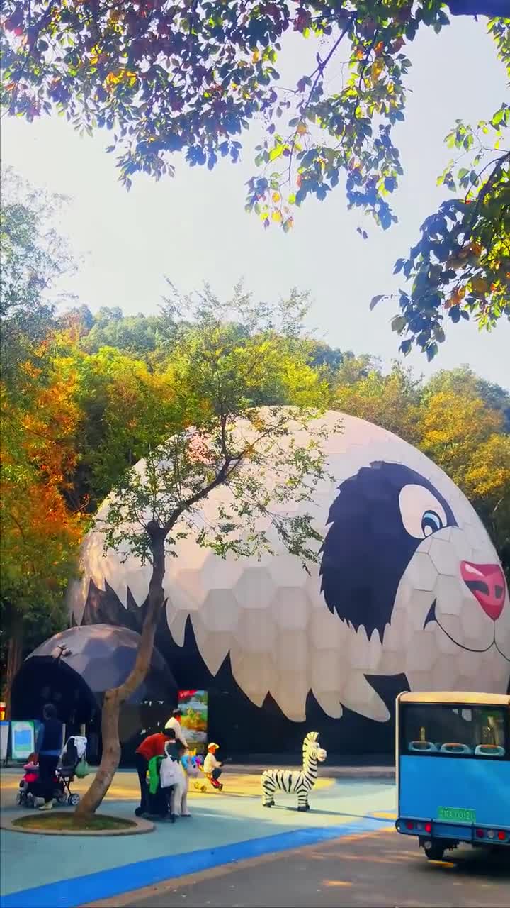 南京红山森林动物园，网红猴子乘着竹筏两只手当桨划水，小竹筏嗖嗖往前跑，聪明的小猴子太可爱了#南京市红山森林动物园#自联盟