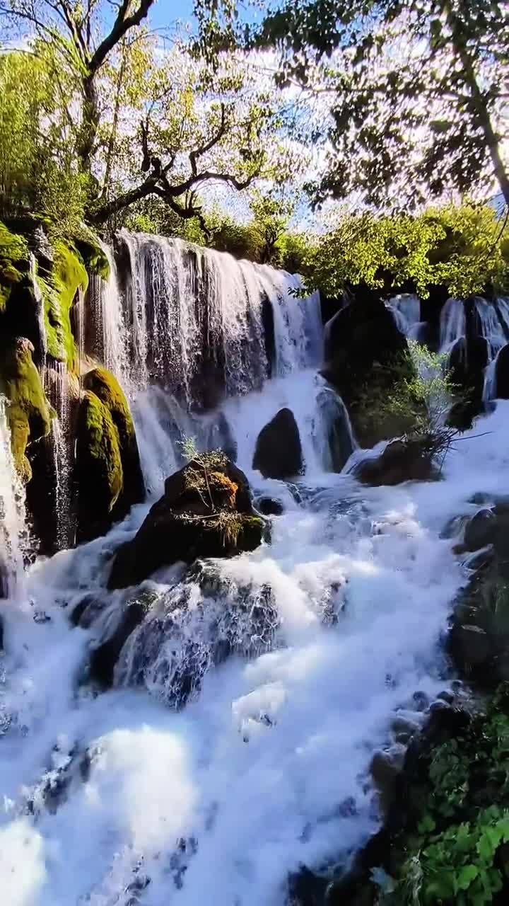 九寨沟真的是绝了！# 九寨沟风景区#自联盟