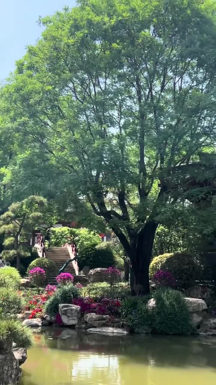 长恨歌演出地华清宫随拍#华清宫#自盟联