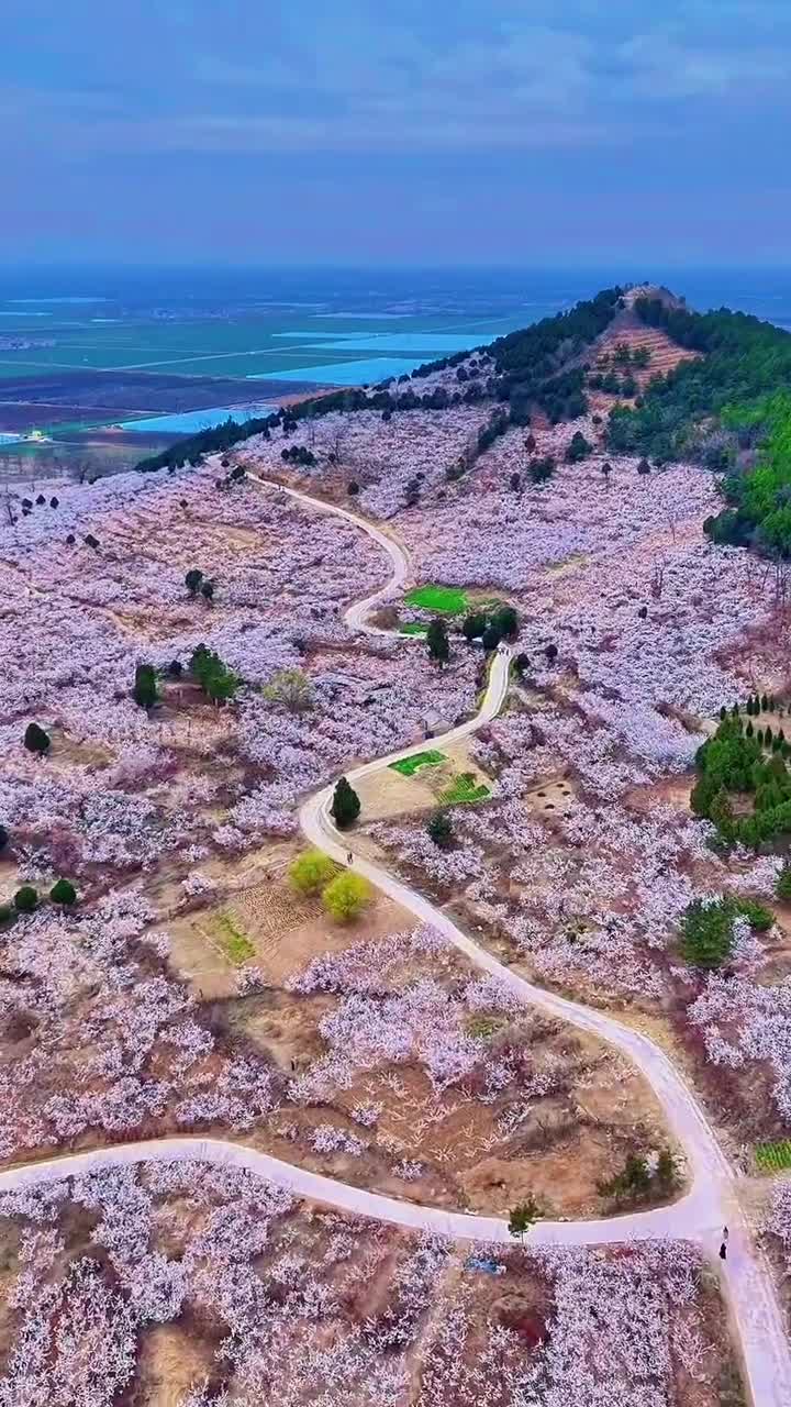 为了这个镜头 特意去了趟芒砀山#芒砀山旅游区#自联盟