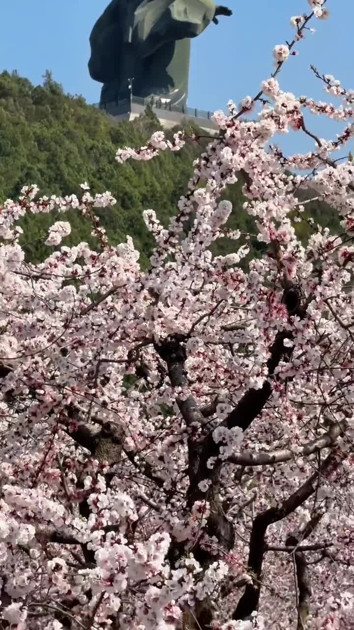 芒砀山旅游区，僖山景区活动来了，#游山玩水释放心情#芒砀山旅游区#自联盟