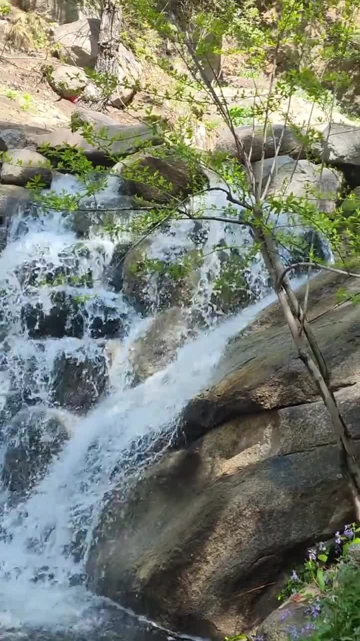 清凉避暑好去处#盘山风景名胜区 #自联盟