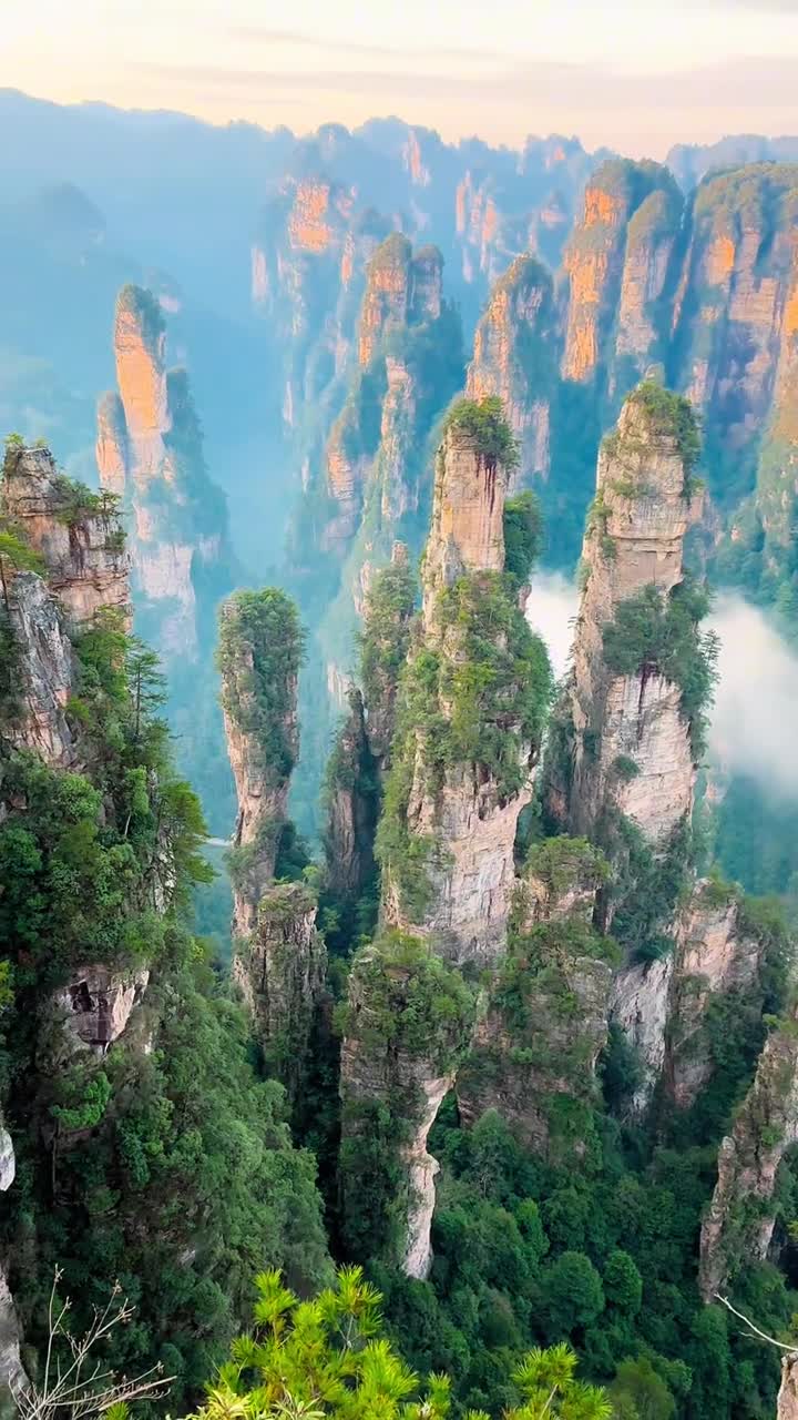 第一次来张家界，先去森林公园准没错！漫步金鞭溪看溪水潺潺，登袁家界观奇峰林立，从自然野趣开始，沉浸式感受张家界的独特魅力。#张家界国家森林公园#自联盟