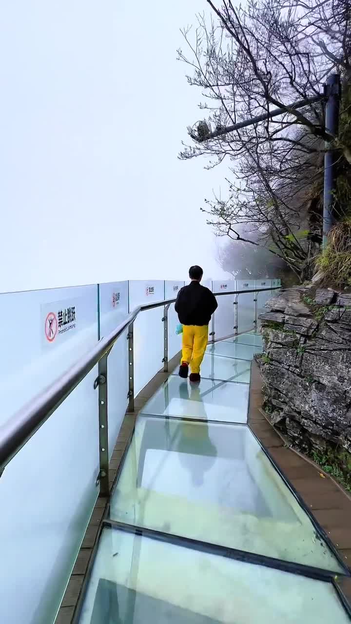 一镜到底，全景呈现。#张家界国家森林公园#自联盟