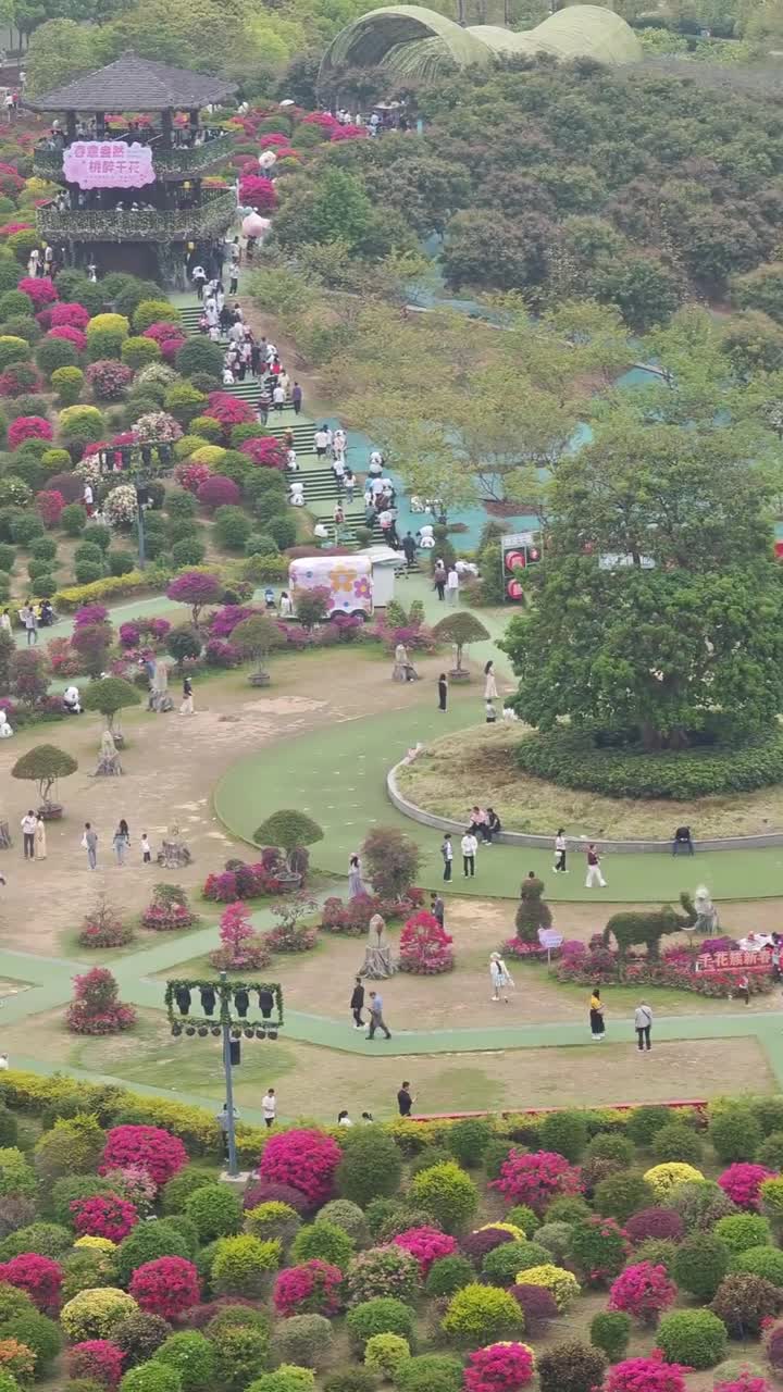竹林趣嬉水，来千花洲FUN肆耍水！# 千花洲竹林水上乐园 # 惠州 # 暑假玩水好去处 # 夏日玩水圣地 #惠州千花洲度假区#自联盟