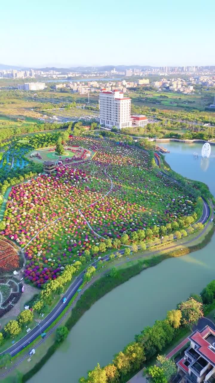 春有约，花不误！春暖花开的感觉，来千花洲赏花吧！# 赏花春游好去处 # 想要约你看花海 # 又到了赏花拍照的季节 #惠州千花洲度假区#自联盟