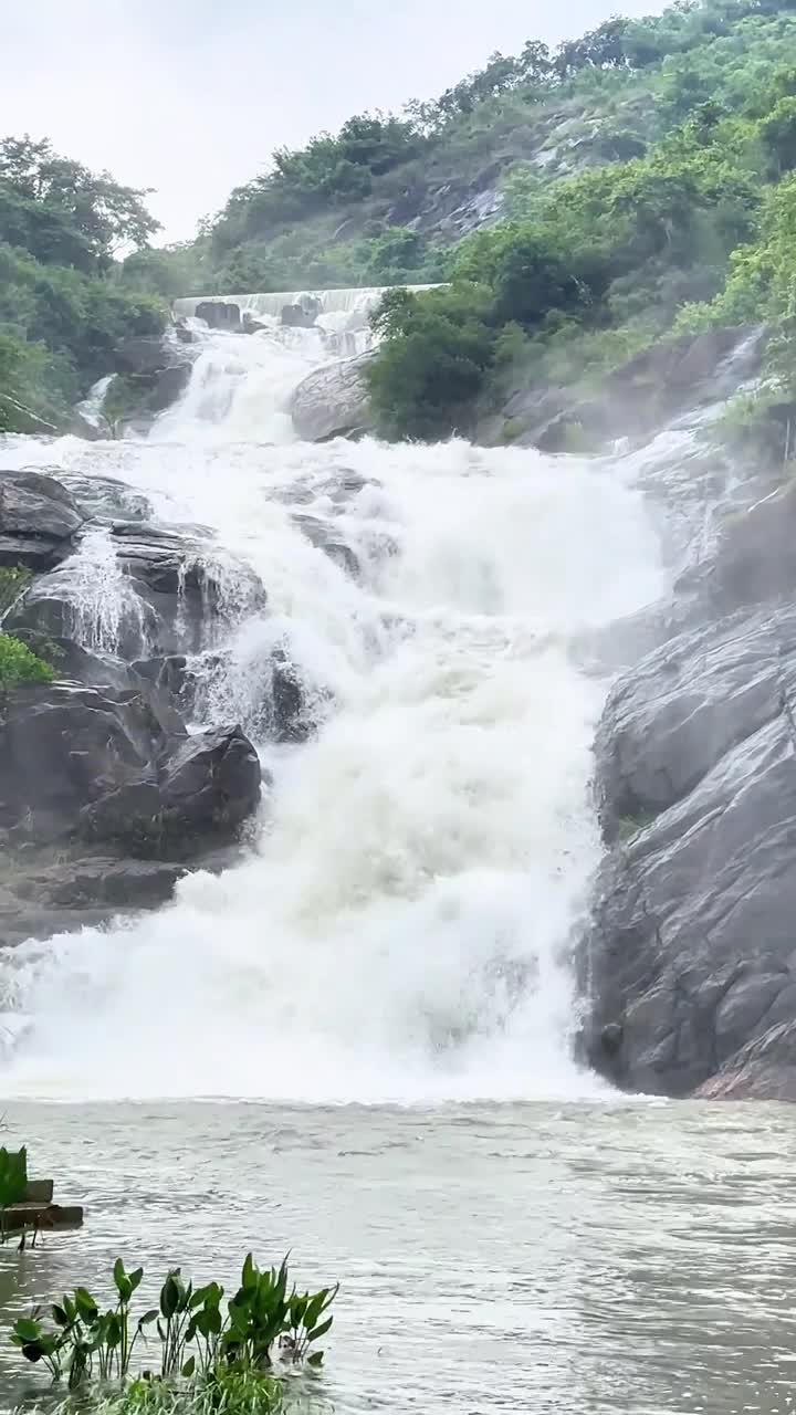 惠城郊区一个园林湖景度假佳地，中海汤泉，喧闹城市中的世外桃源，闲暇之余可以坐坐小船，在稻田边走走，品尝美味餐点！#惠州中海汤泉酒店#自联盟