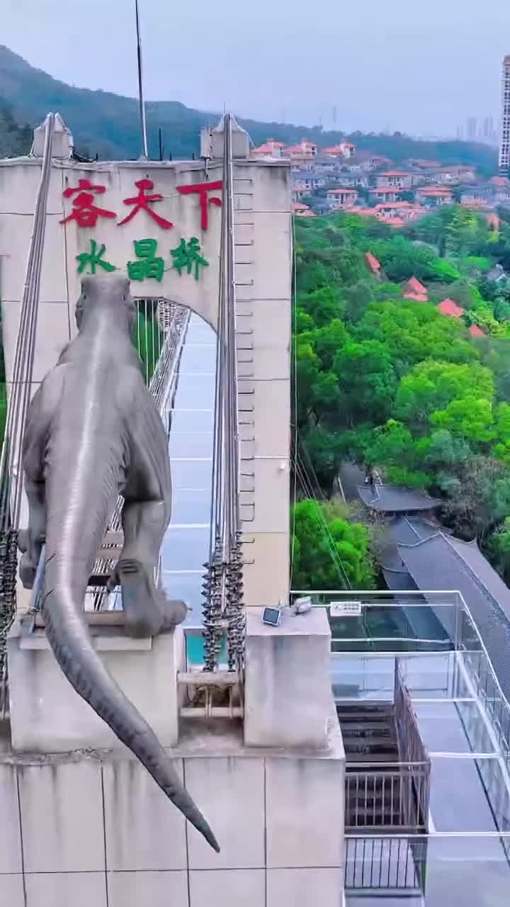 河源客天下恐龙水上乐园# 亲子游玩好去处#客天下恐龙水世界#自联盟